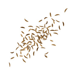 Dry Cumin Seed Icon, Cummin Heap, Caraway Seeds Symbol, Indian Spices Pile, Fennel Kernels, Cumin Icons on White Background, Vector Illustration - obrazy, fototapety, plakaty