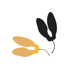 maple tree seeds_03.eps