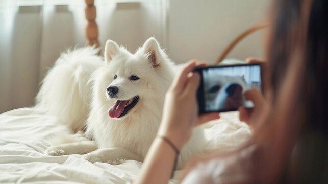 Capturing Joyful Moments: Woman Photographing Fluffy Pet Dog at Home