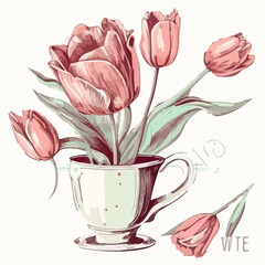 Tulip spring flower with pink blooming cup sketch v