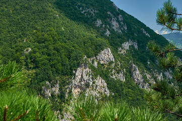 Mountains and forests on the slopes of the mountains. Montenegro. Valley of Tara river.