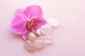 Rose quartz crystals and orchid flower. Healing crystals, the magic of precious stones.