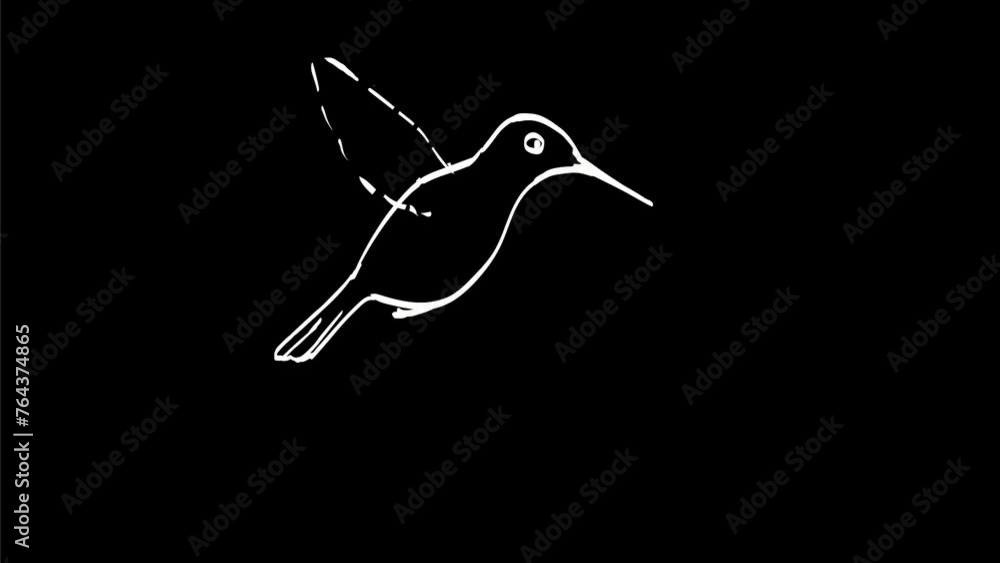 Poster 2d animation motion graphics showing a drawing of a hummingbird flying hovering and flipping over on