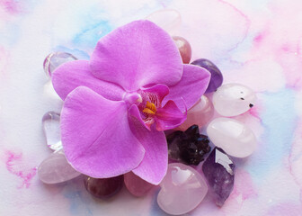 Beautiful amethyst crystals and orchid flower. Healing crystals, the magic of precious stones.