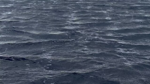 Waves on lake surface