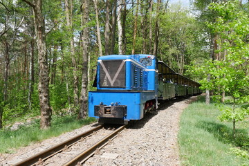 Waldeisenbahn Muskau