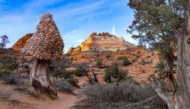 photograph of hand crafted gnome homes set in Bryce Canyon National Park in Utah