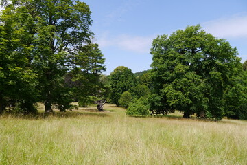 Englischer Garten am Kloster Wechselburg in Sachsen