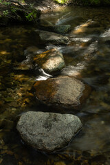 Water Rushes Around Stepping Stones In Dark Forest