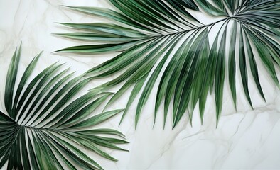 南国・トロピカルな椰子の木の葉っぱの背景素材 - obrazy, fototapety, plakaty