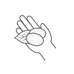 illustration of silkworm cocoon, vector art.