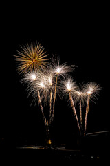 Fireworks Display during a 4th of July celebration.
