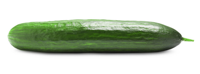 One long fresh cucumber isolated on white