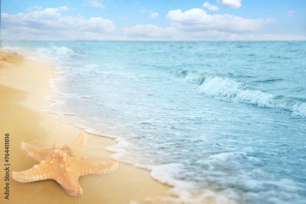 Canvas Prints Beautiful starfish on sandy beach near sea