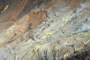 【箱根】硫化水素ガスを噴き出す大涌谷の岩肌 - obrazy, fototapety, plakaty