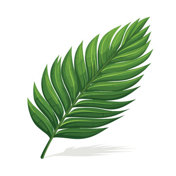 Tropical leave palm tree image flat vector illustra