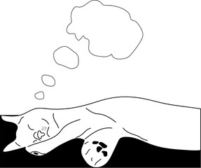 sleeping cat sketch on a white background minimalism