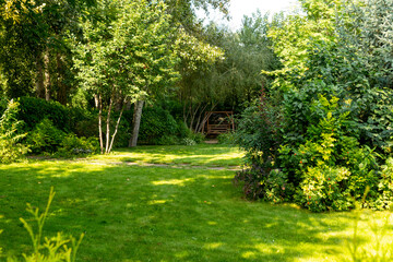 A green lawn in the summer garden