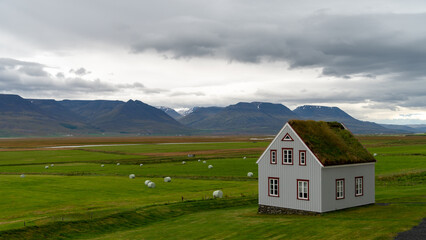 Obraz premium house on the hill