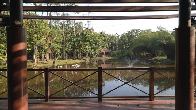 Beautiful morning landscape view from the gazebo of the flamingo pond in Putrajaya Wetlands Park.