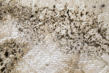 close up of danger black mold on bed sheet material