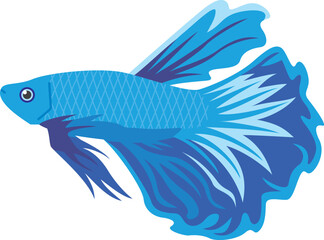 青色熱帯魚ベタのイメージイラスト