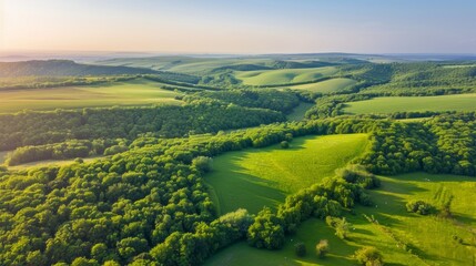 Obraz premium summer background