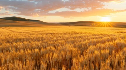 Obraz premium summer background