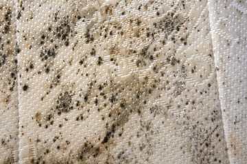 close up of danger black mold on bed sheet material