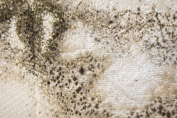 close up of danger black mold on bed sheet material