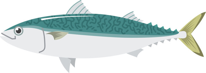 シンプルなサバのイメージイラスト