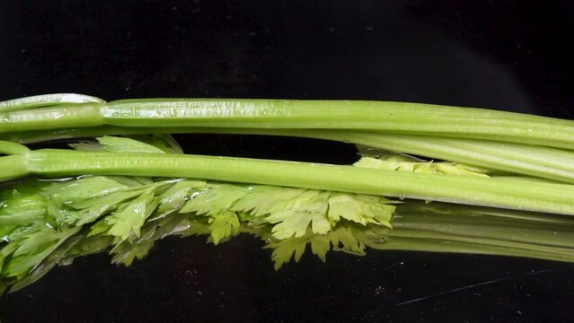 A celery stalk on a black background