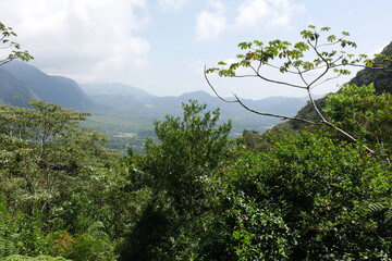 Tropische Bergwelt in El Valle de Antón in der Caldera in den tropischen Bergen in Panama