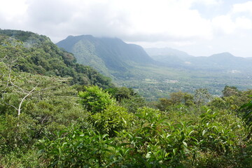 Fototapeta na wymiar Berg Cerro Gaital in Wolken in El Valle de Antón in der Caldera in den tropischen Bergen in Panama