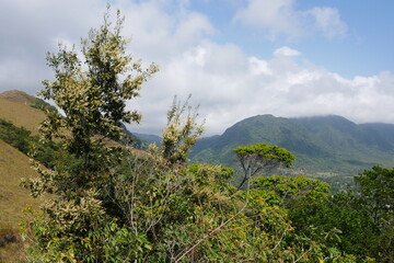 Tropische Natur in  El Valle de Antón in Panama