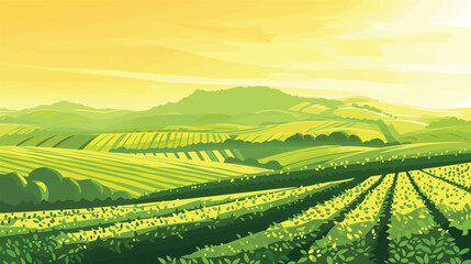 Green tea plantation landscape. Rural farmland fields, Terraced farmer, hills with greenery and mountain on horizon