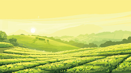 Green tea plantation landscape. Rural farmland fields, Terraced farmer, hills with greenery and mountain on horizon - obrazy, fototapety, plakaty