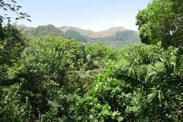 Fototapeta na wymiar Tropischer Regenwald und Berge in El Valle de Antón in der Caldera in den tropischen Bergen in Panama