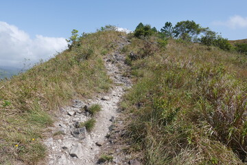 Fototapeta na wymiar Wanderweg zum Berg Cerro Cara Iguana in El Valle de Antón in der Caldera in den tropischen Bergen in Panama