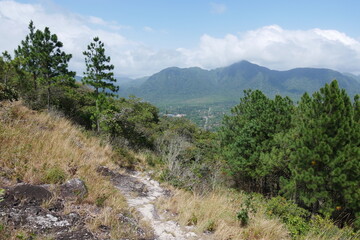 Fototapeta na wymiar Wanderweg durch Kiefernwald in den Bergen von El Valle de Antón in der Caldera in den tropischen Bergen in Panama