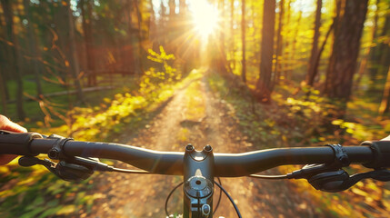 Mountain Bike Adventure Through a Sunlit Forest Path