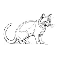 Black and white line drawing of a cat's full body.