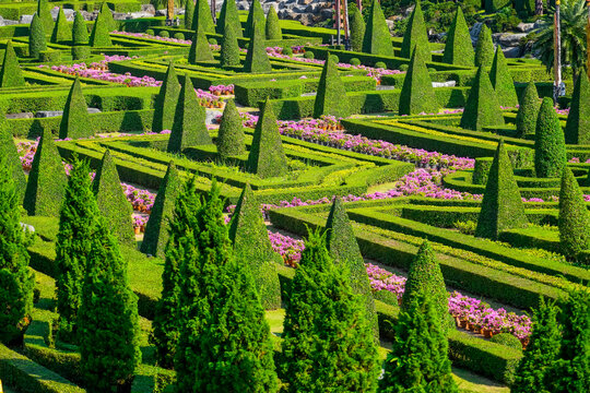 View of the garden labyrinth trees hedge and pyramid shaped trees blooming lilac flowers
