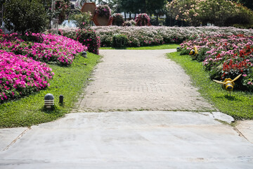 Pavement in flower garden natural colorful on background