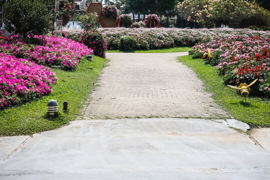 Pavement in flower garden natural colorful on background