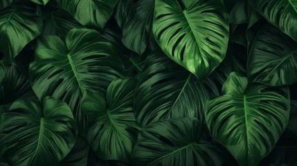 Fotobehang Tropical leaves pattern © Aida