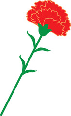 母の日のカーネーション
