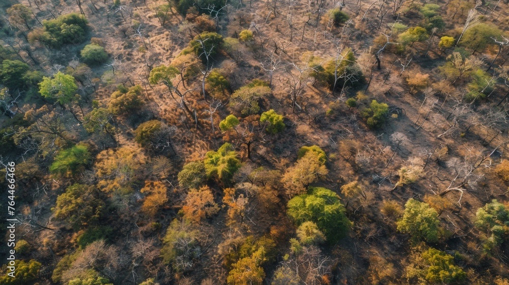 Aufkleber a birds eye view of a vast forest completely dried out and devoid of its usual vibrant colors as ani