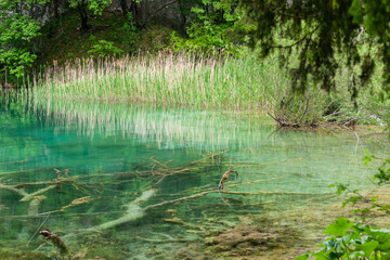 Clear turquoise water in pond in Croatia