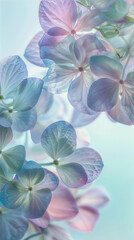 Delicate vertical background with hydrangea flowers, web wallpaper